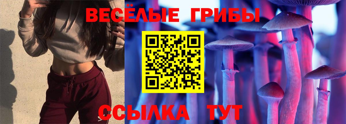 Северск  Галлюциногенные грибы мухоморы  Галлюциногенные грибы GOLDEN TEACHER  Вход с VPN 